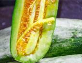 有什么网红瓜可以吃一下,盘点那些让人欲罢不能的美食诱惑